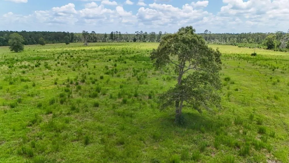 Cr 1450 Warren, TX 77664