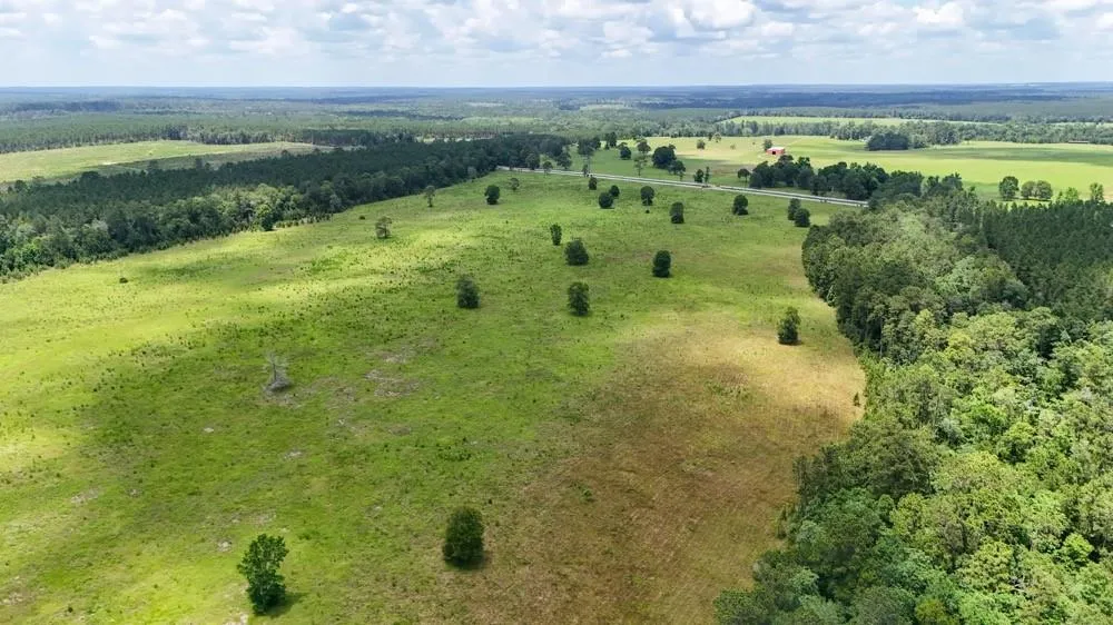 Cr 1450 Warren, TX 77664