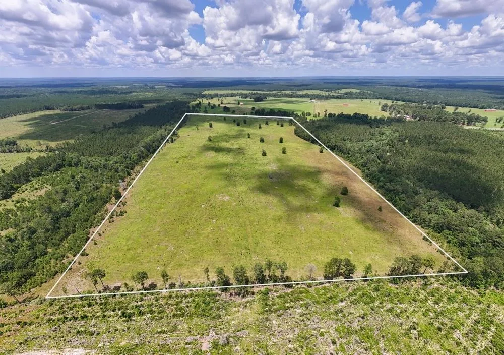 Cr 1450 Warren, TX 77664