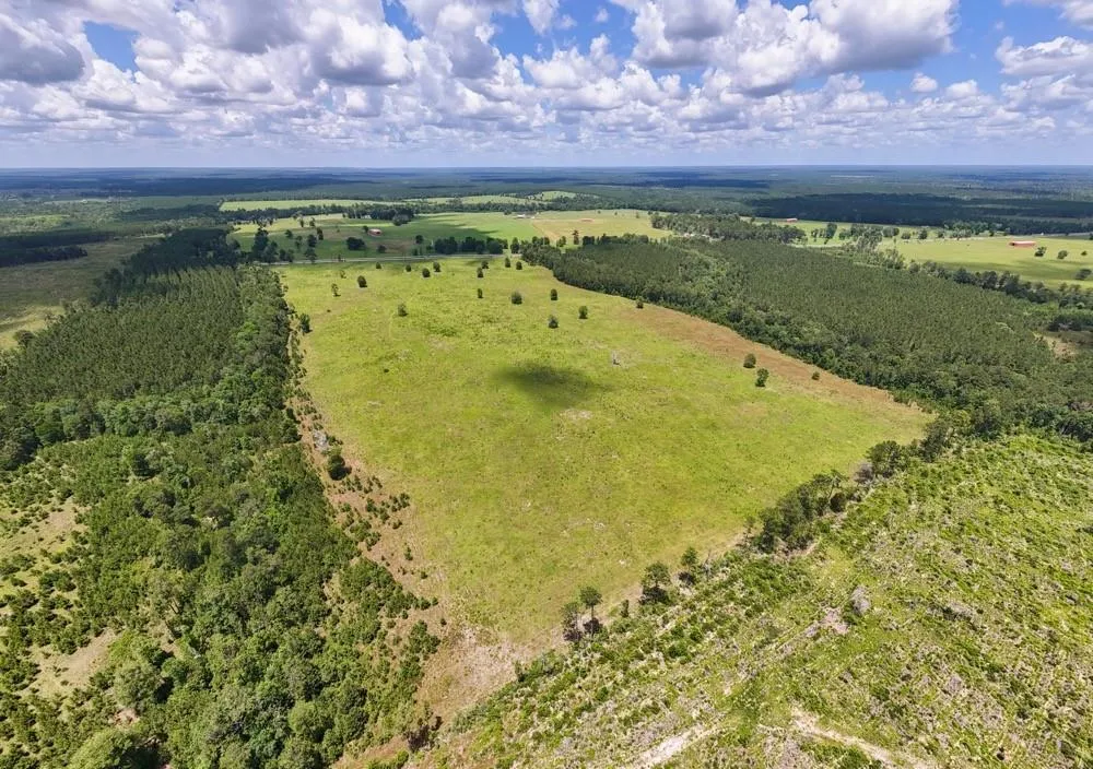 Cr 1450 Warren, TX 77664