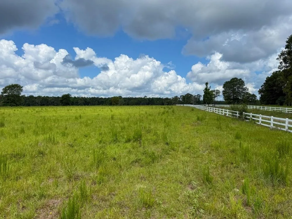 Cr 1450 Warren, TX 77664