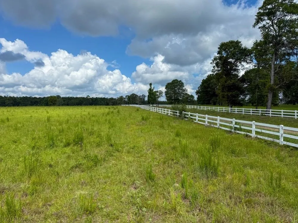 Cr 1450 Warren, TX 77664