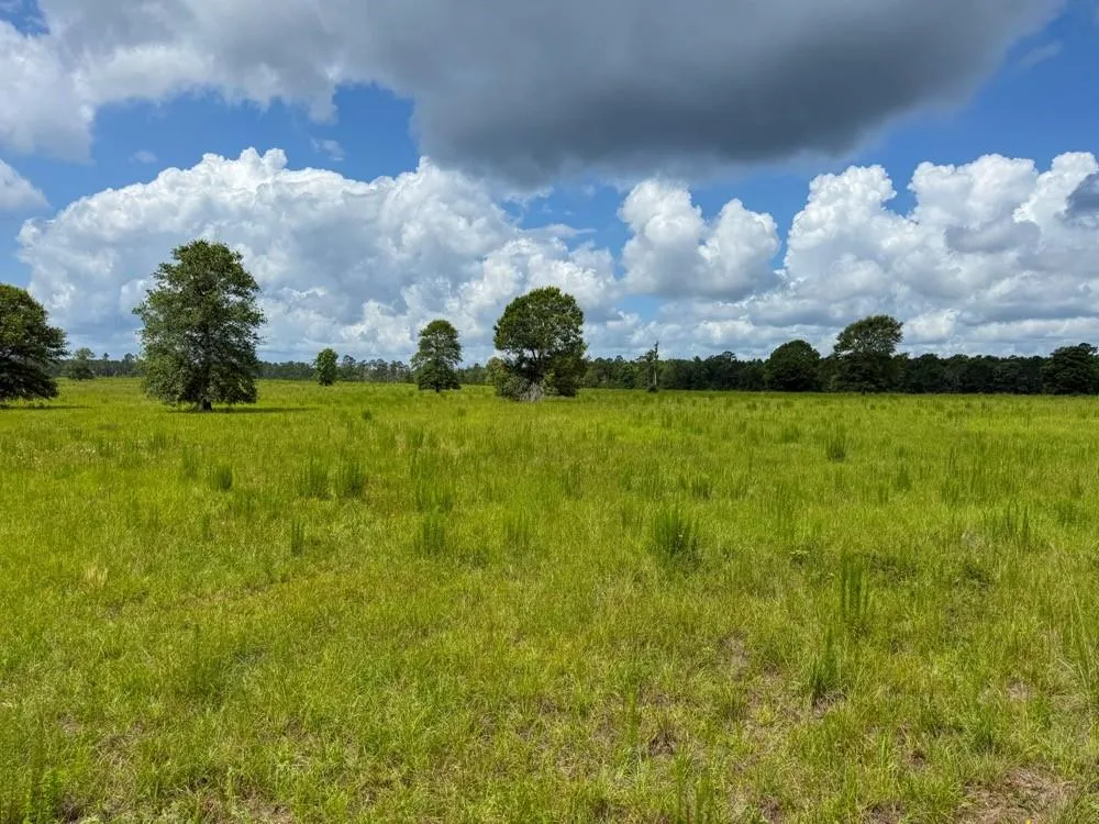 Cr 1450 Warren, TX 77664