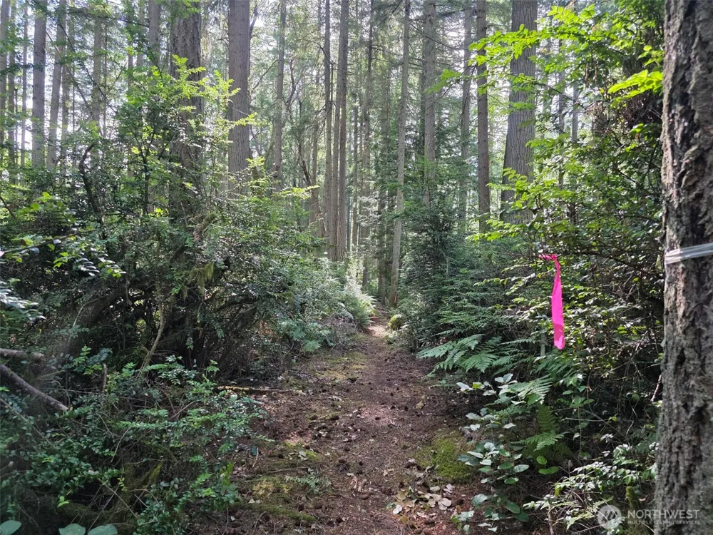 23601 Landers Road SW Vashon, WA 98070