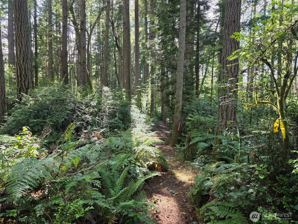 23601 Landers Road SW Vashon, WA 98070