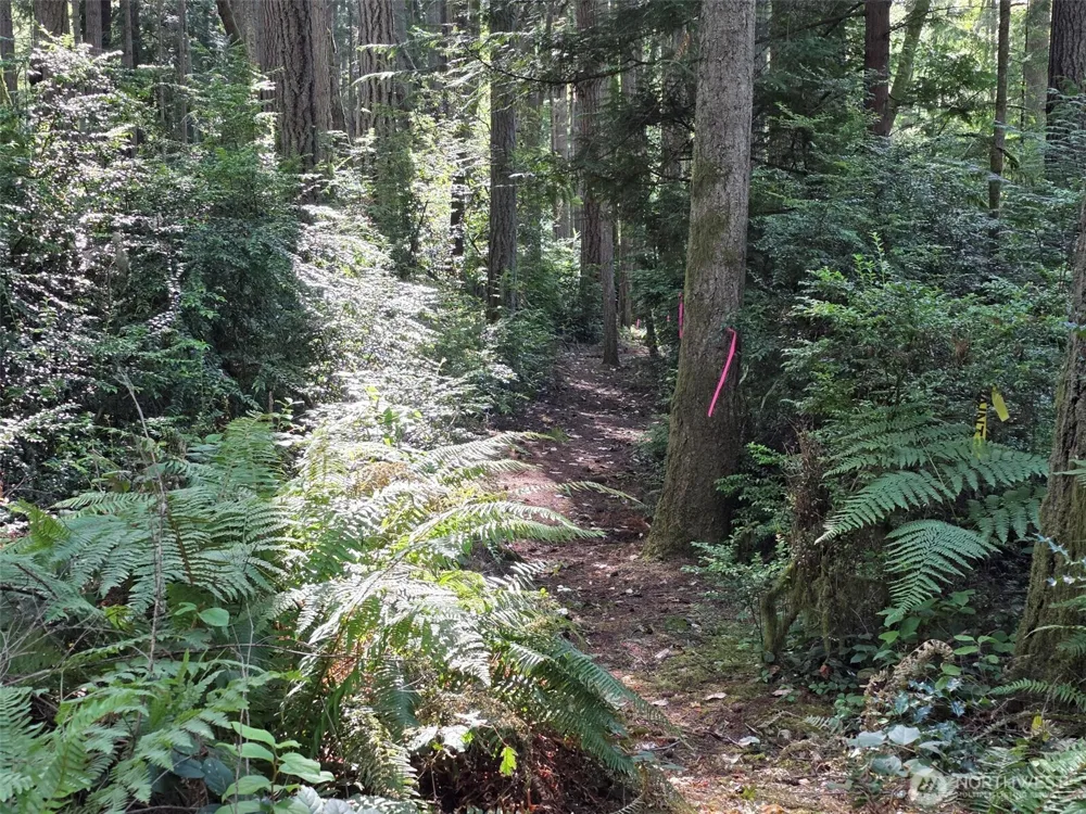 23601 Landers Road SW Vashon, WA 98070