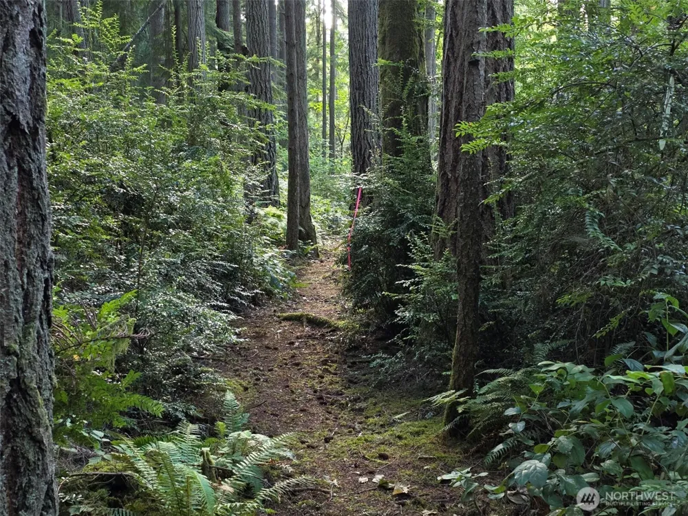 23601 Landers Road SW Vashon, WA 98070