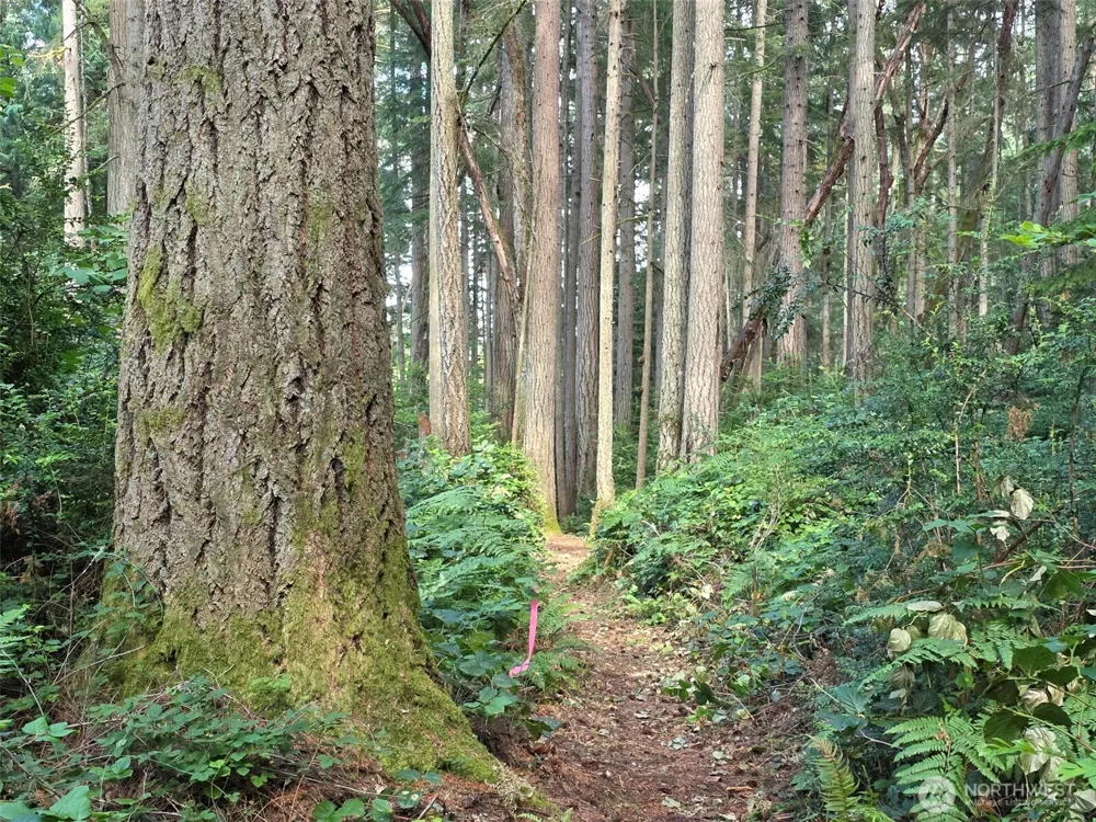 23601 Landers Road SW Vashon, WA 98070