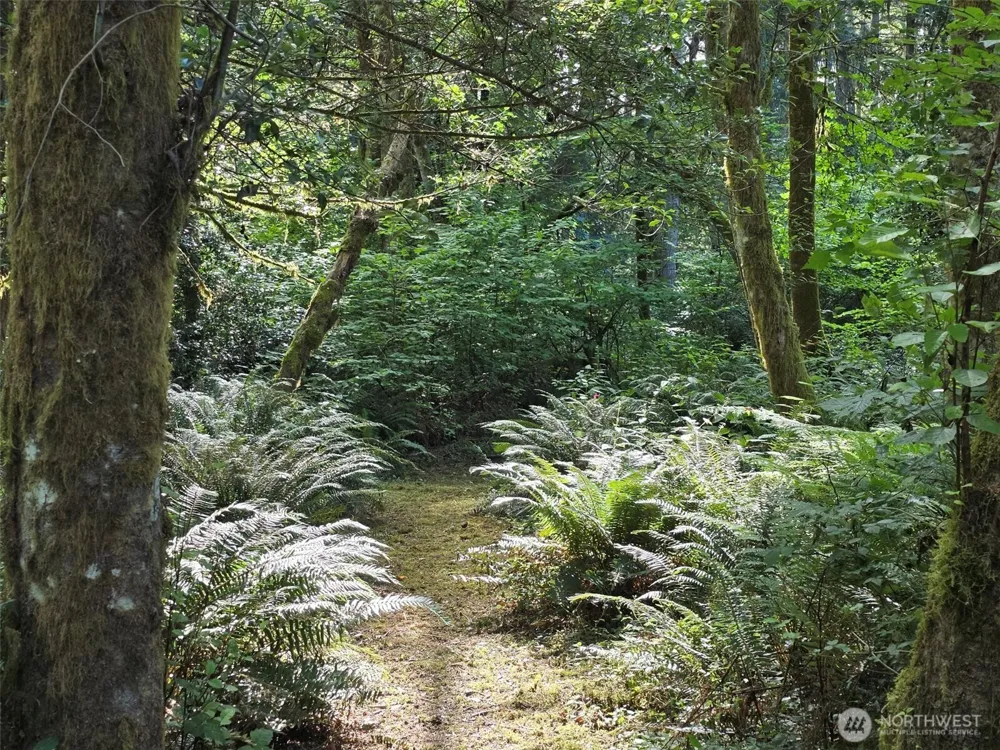 23601 Landers Road SW Vashon, WA 98070
