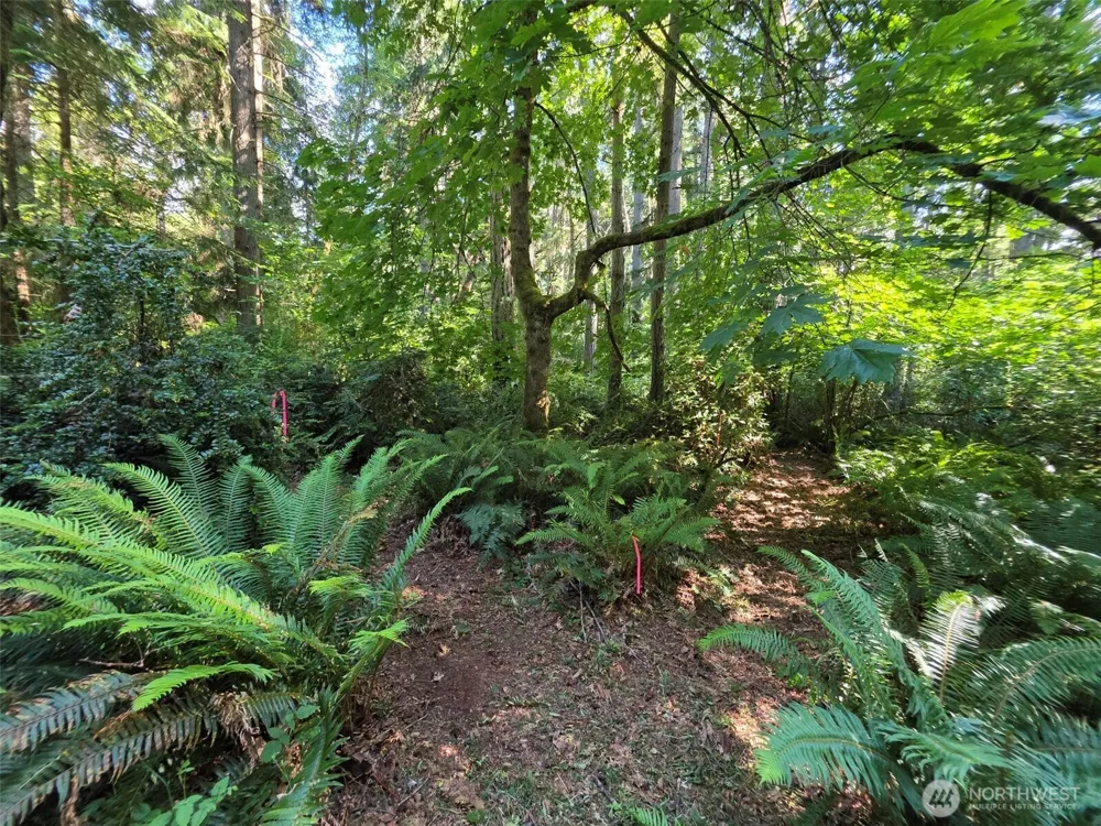 23601 Landers Road SW Vashon, WA 98070