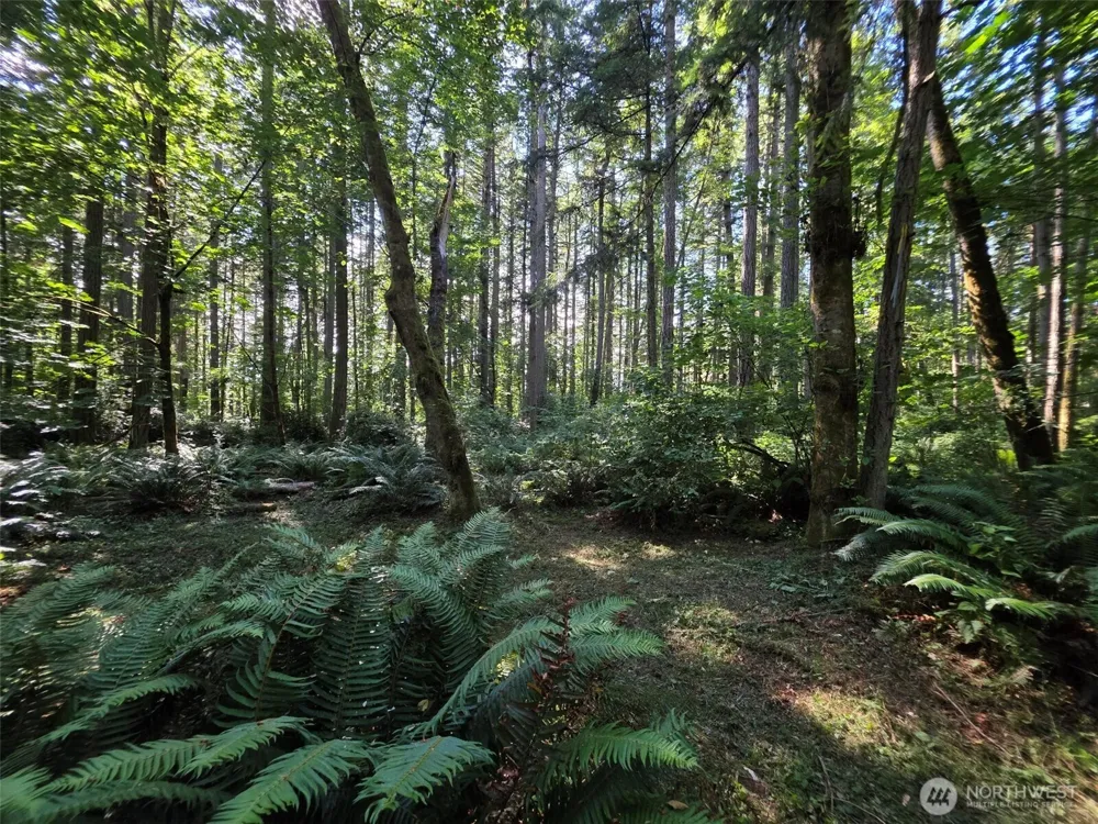 23601 Landers Road SW Vashon, WA 98070