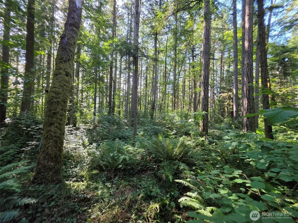 23601 Landers Road SW Vashon, WA 98070