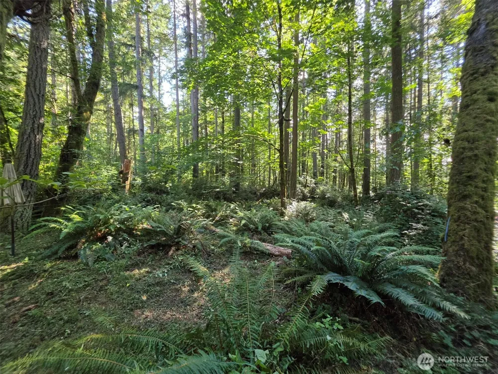 23601 Landers Road SW Vashon, WA 98070