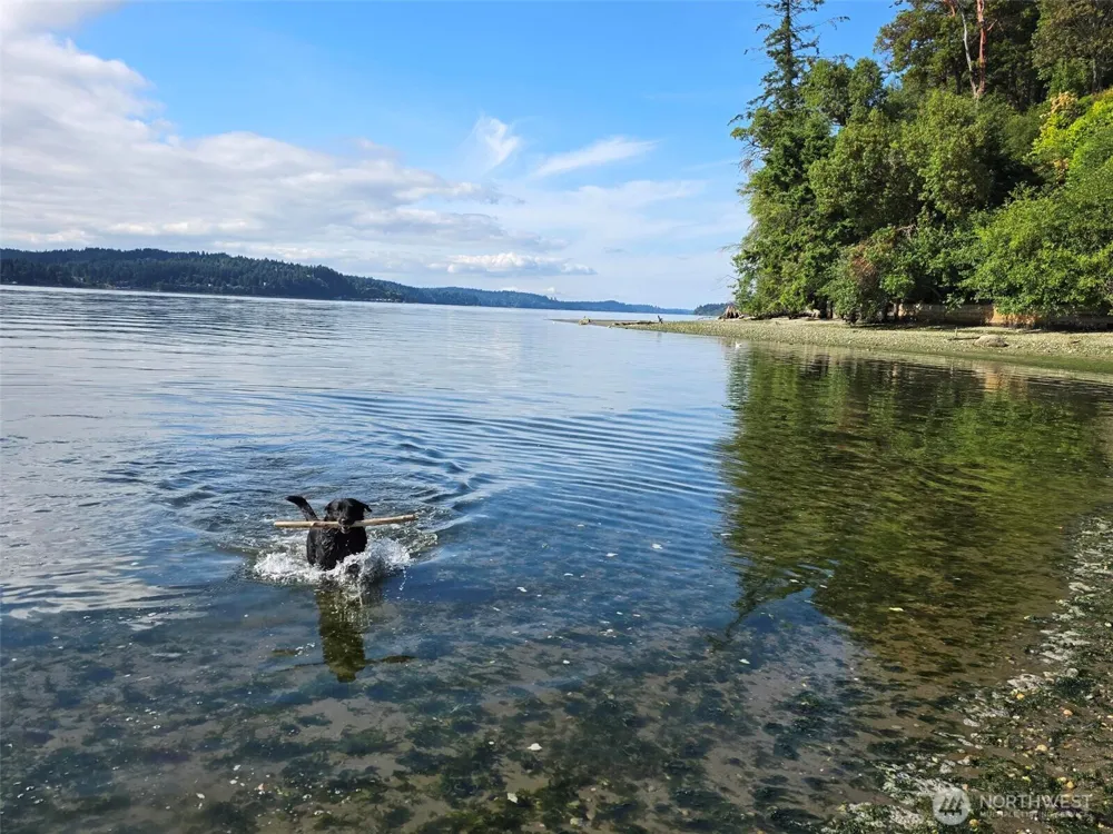 23601 Landers Road SW Vashon, WA 98070