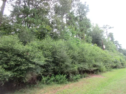 412 Wagon Wheel Road
