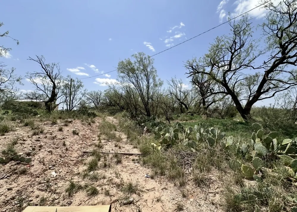 1900 W 4th Street Big Spring, TX 79720