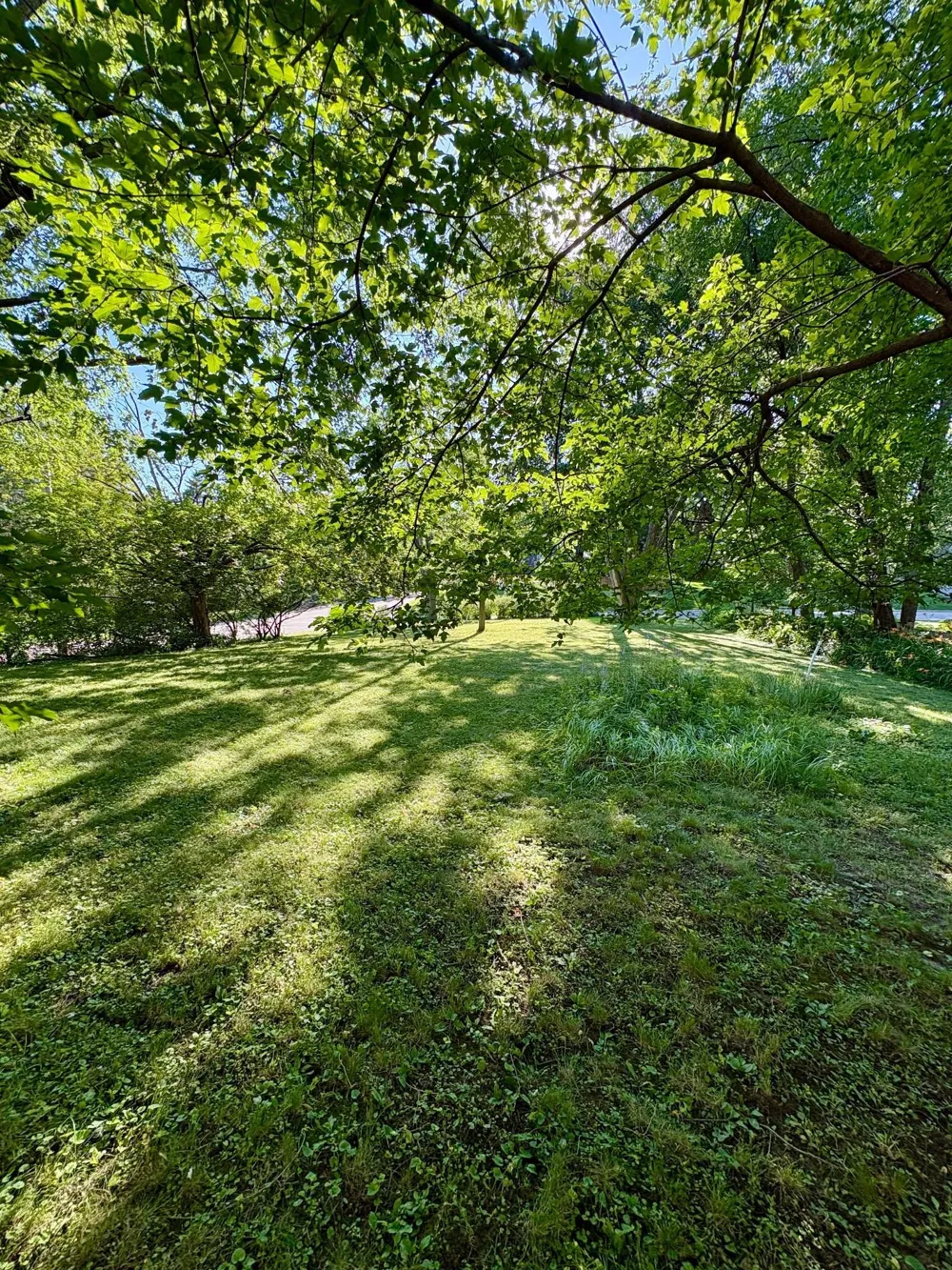 5216 Benton Avenue Edina, MN 55436