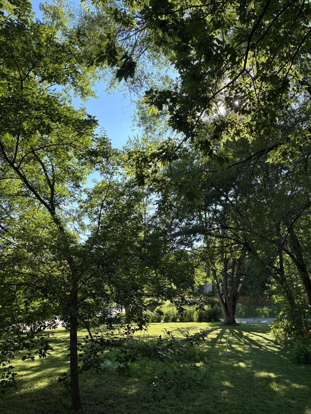 5216 Benton Avenue Edina, MN 55436