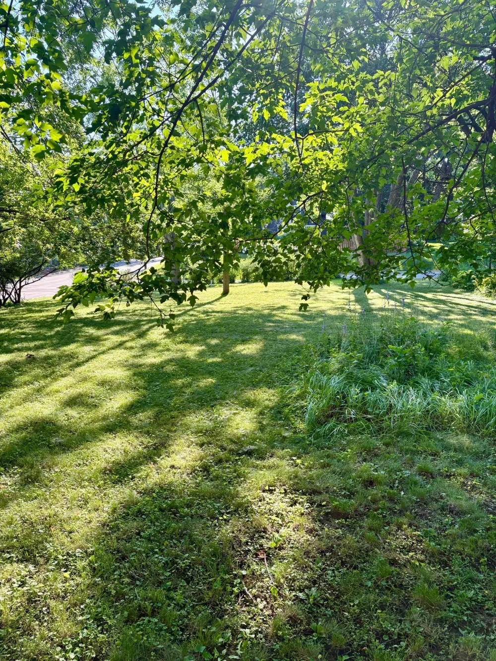 5216 Benton Avenue Edina, MN 55436