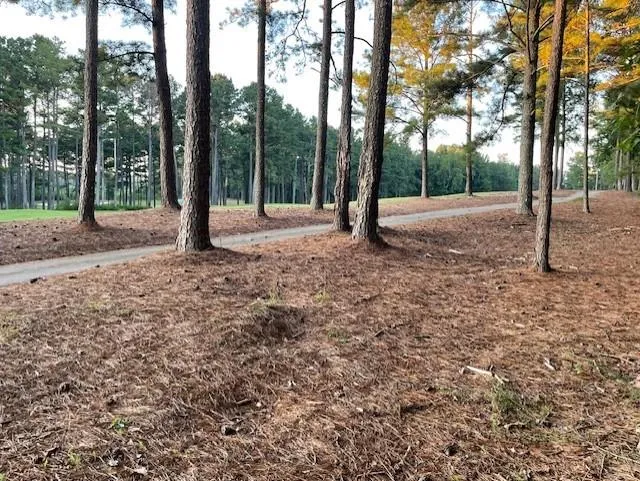 32 Duval Court Villa Rica, GA 30180