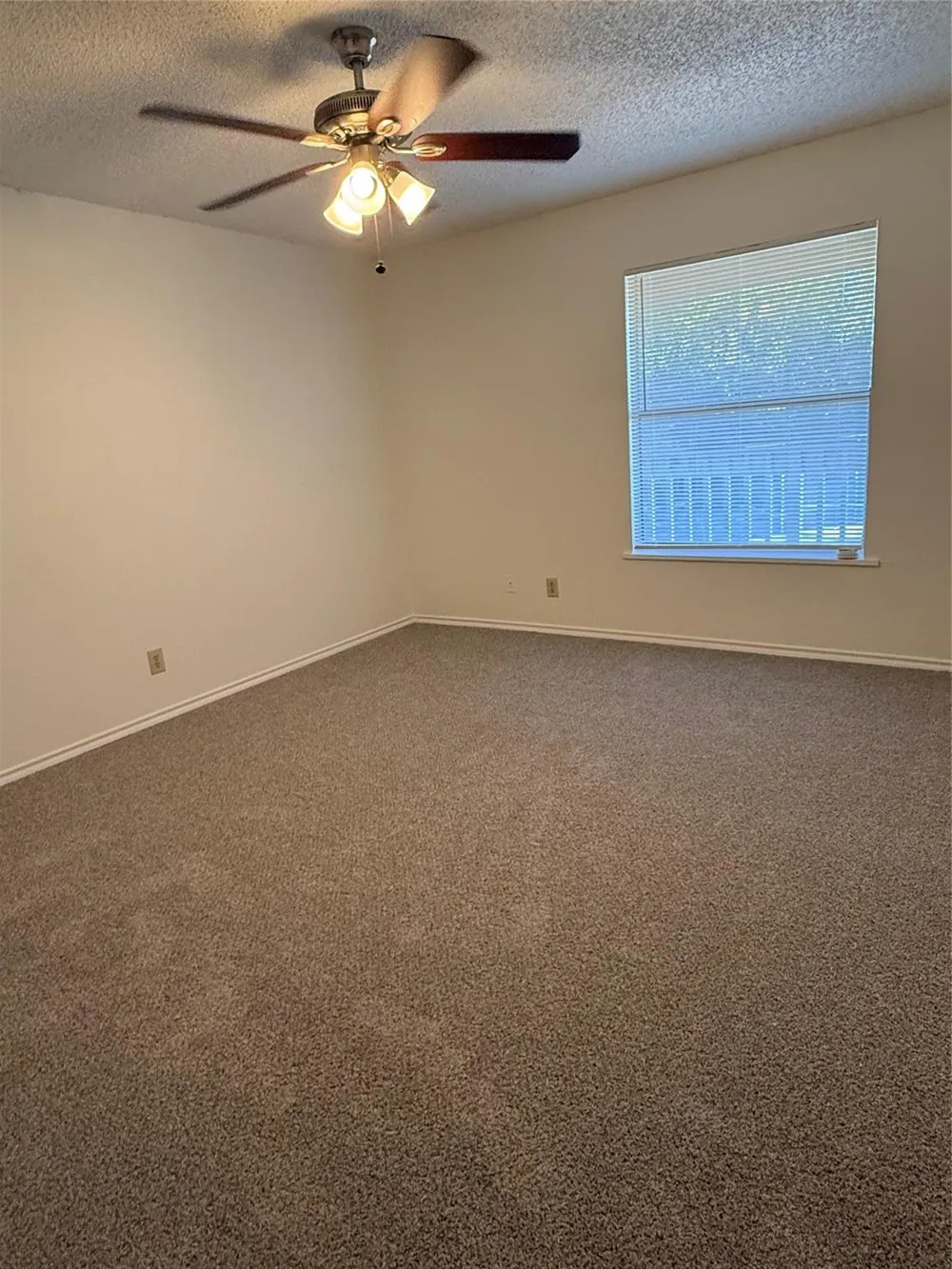 2501 Gulf Freeway #279B Dickinson, TX 77539