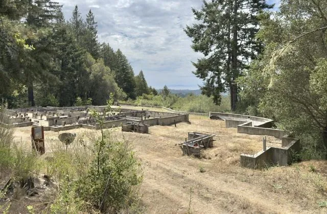 1374 Weston Ridge Road Scotts Valley, CA 95066