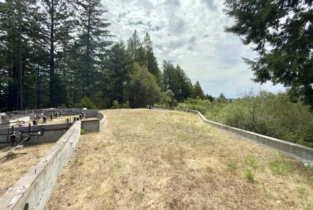 1374 Weston Ridge Road Scotts Valley, CA 95066