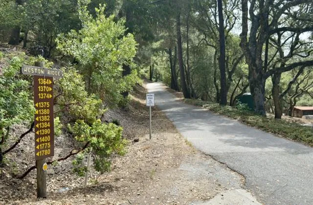 1374 Weston Ridge Road Scotts Valley, CA 95066
