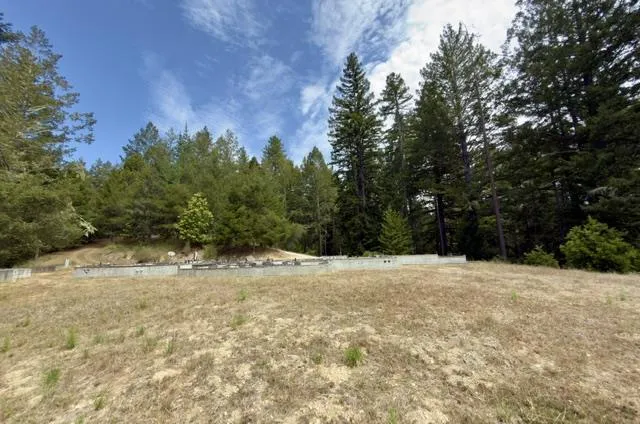 1374 Weston Ridge Road Scotts Valley, CA 95066