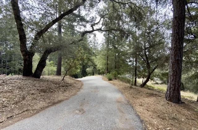 1374 Weston Ridge Road Scotts Valley, CA 95066