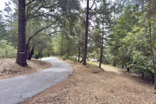 1374 Weston Ridge Road Scotts Valley, CA 95066
