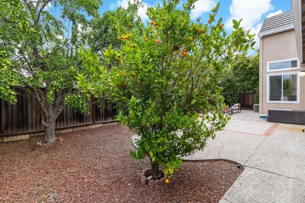 3107 Toscana Court San Jose, CA 95135