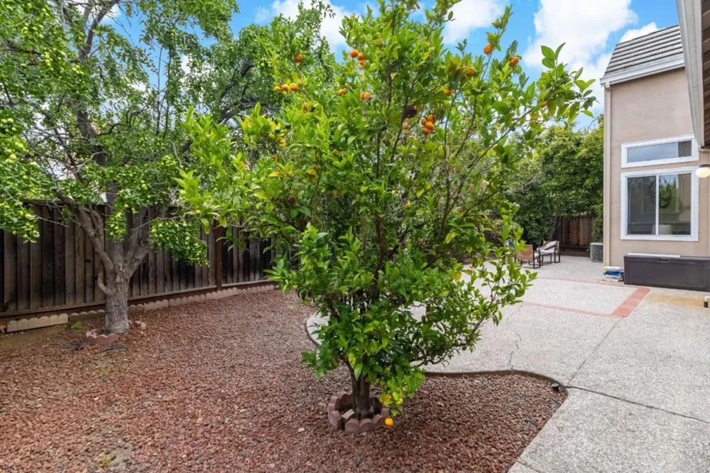 3107 Toscana Court San Jose, CA 95135