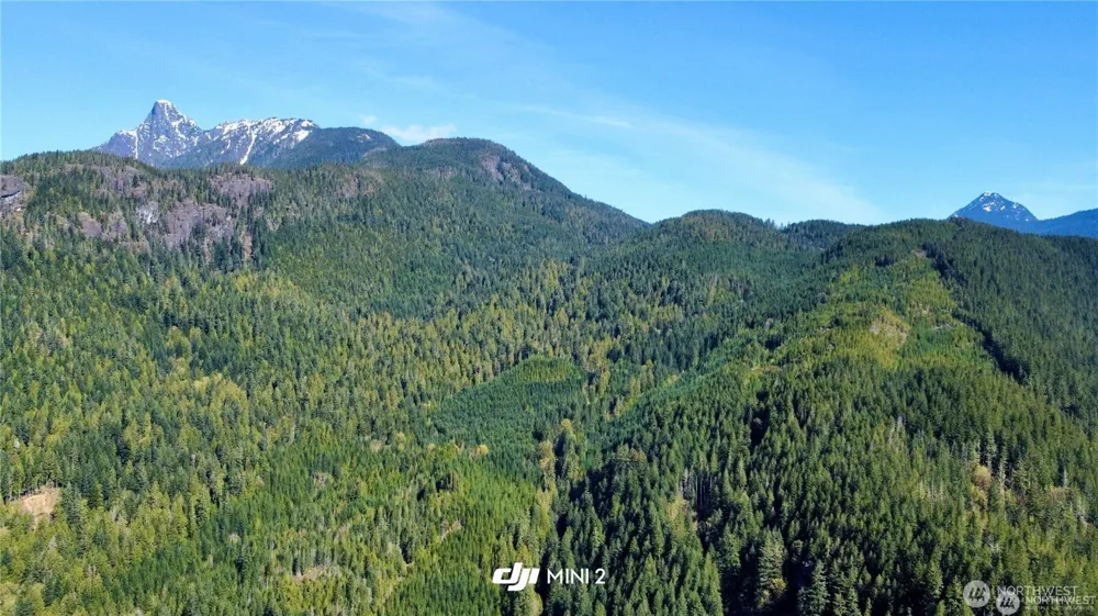 61120 Dexter Lane Marblemount, WA 98267