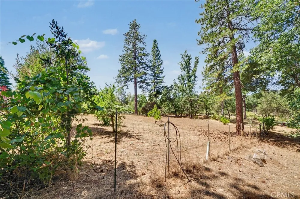 5627 Buckskin Road Mariposa, CA 95338