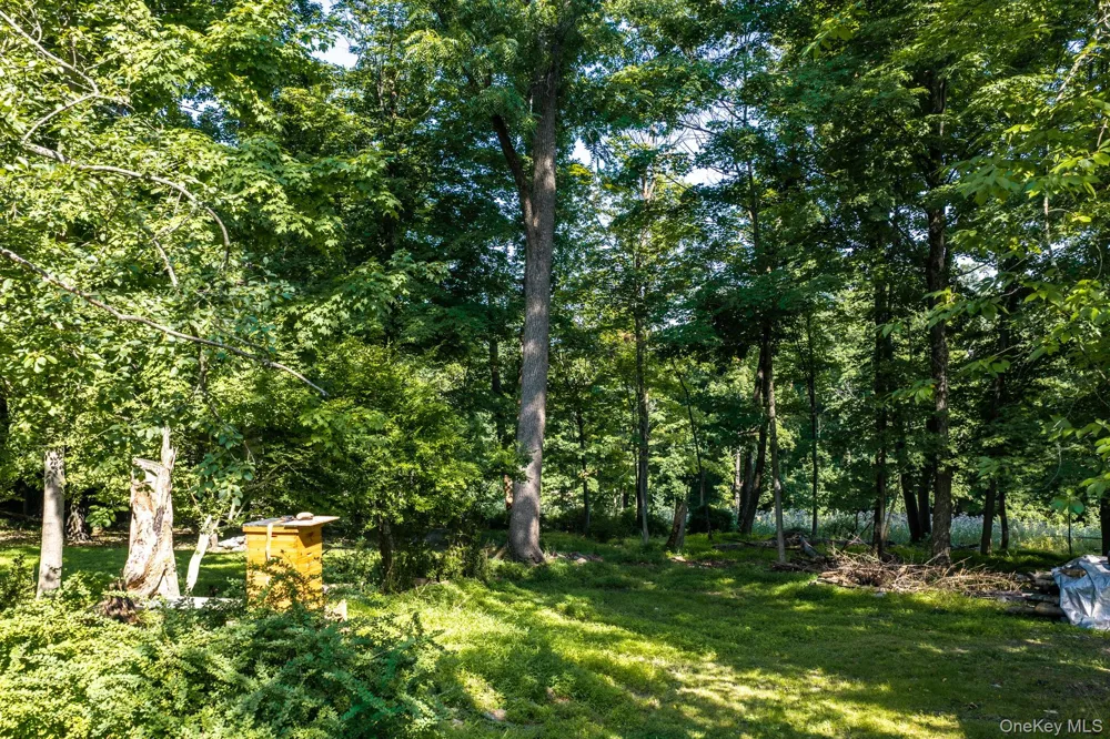 48-50 Mountain Avenue Middletown, NY 10940