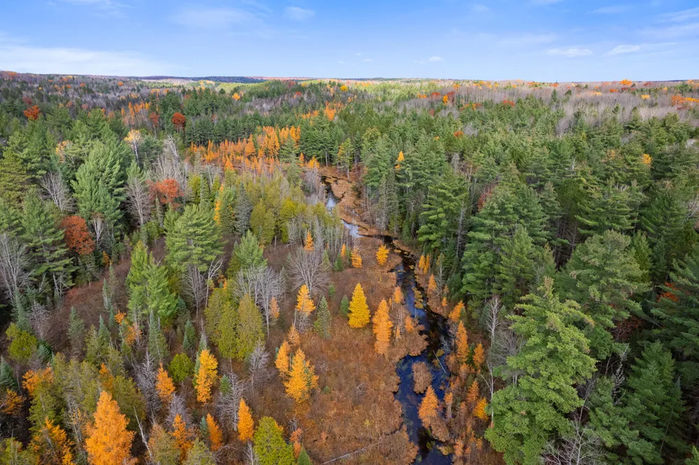 Glenrose Drive Wolverine, MI 49799