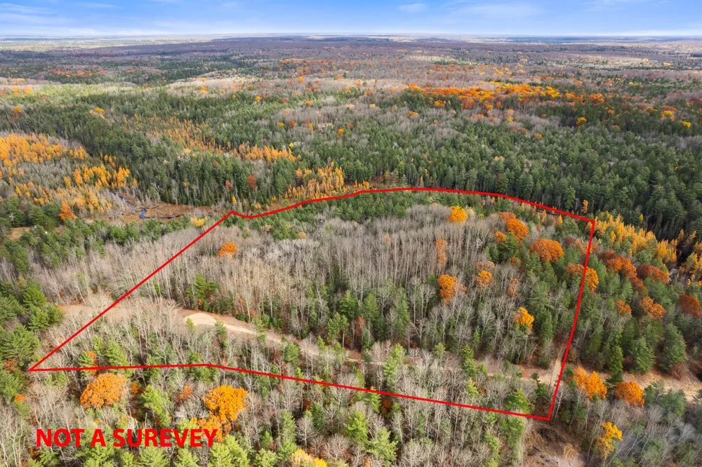 Glenrose Drive Wolverine, MI 49799