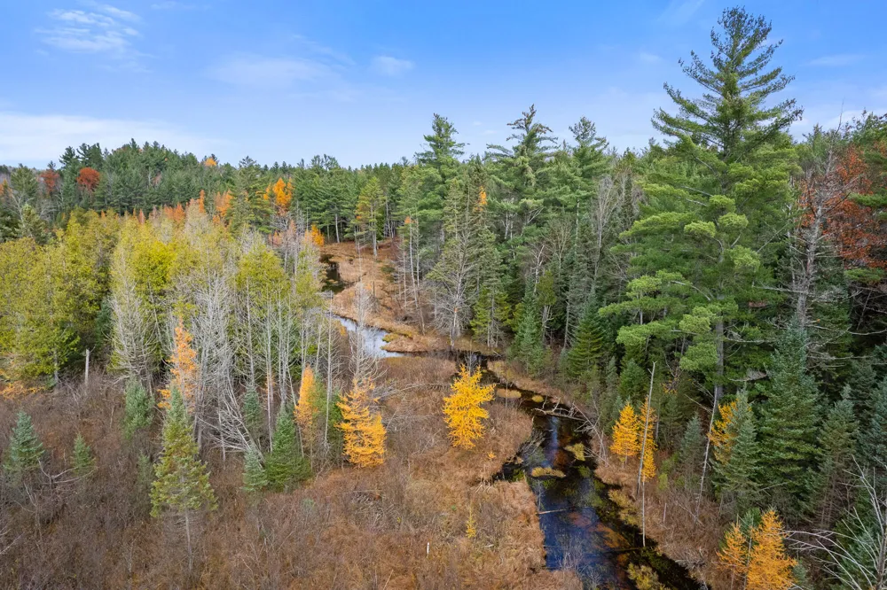 Glenrose Drive Wolverine, MI 49799