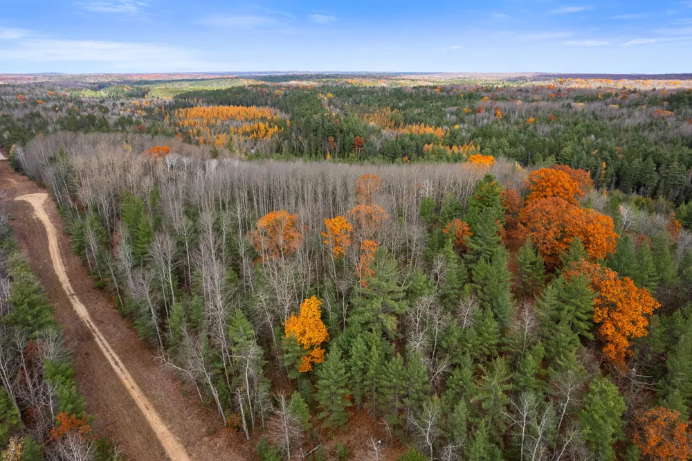 Glenrose Drive Wolverine, MI 49799