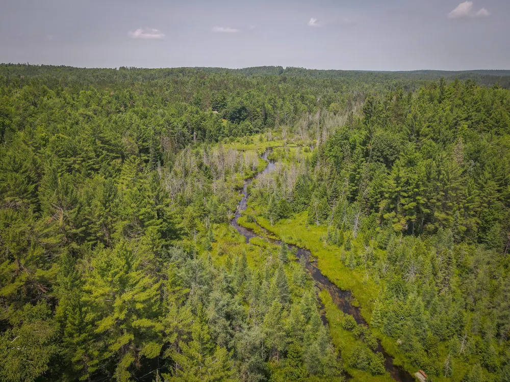 Glenrose Drive Wolverine, MI 49799
