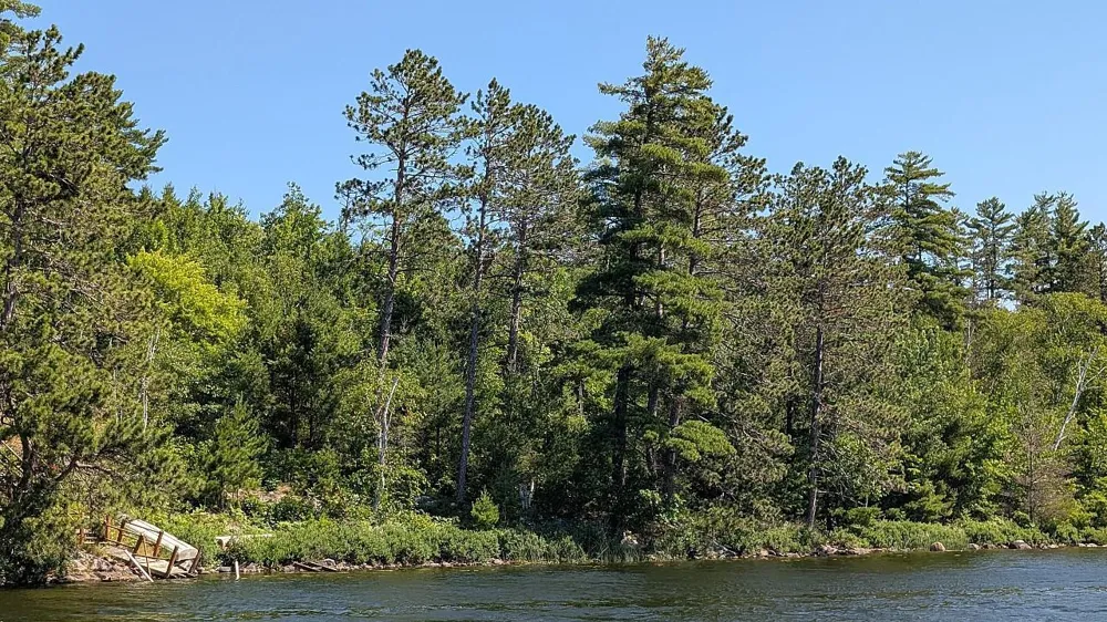 7952 Highway 24 Orr, MN 55771
