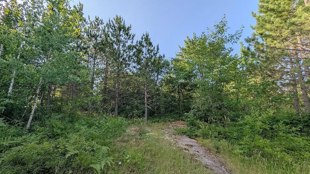 7952 Highway 24 Orr, MN 55771