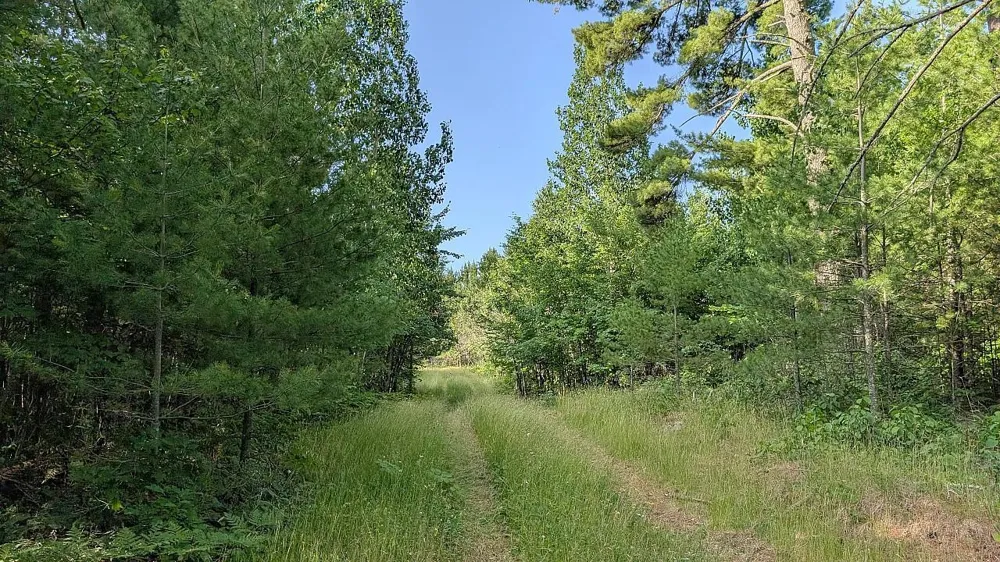 7952 Highway 24 Orr, MN 55771