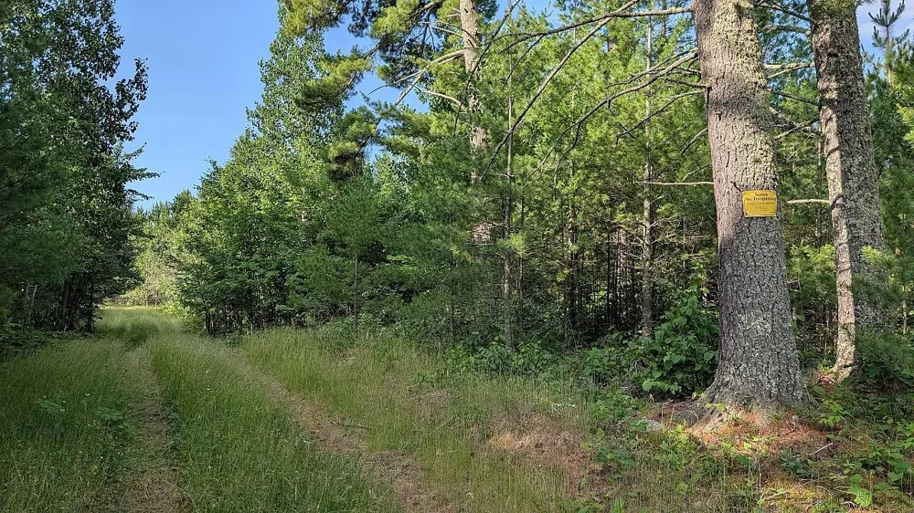 7952 Highway 24 Orr, MN 55771