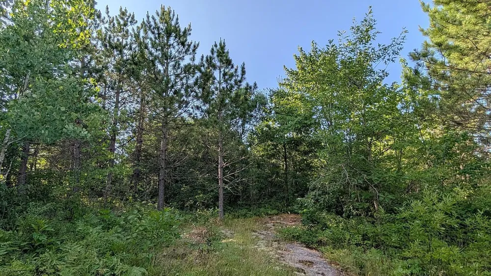 7952 Highway 24 Orr, MN 55771