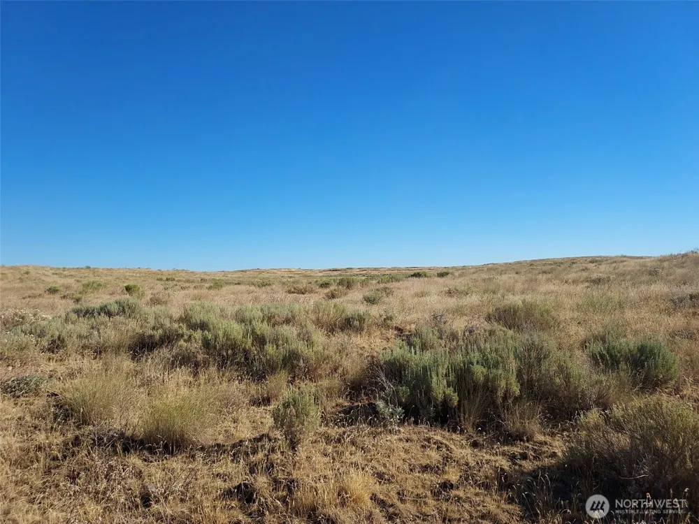 100 Seven Springs Dairy Road Davenport, WA 99122