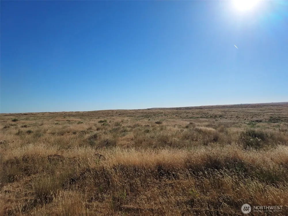 100 Seven Springs Dairy Road Davenport, WA 99122