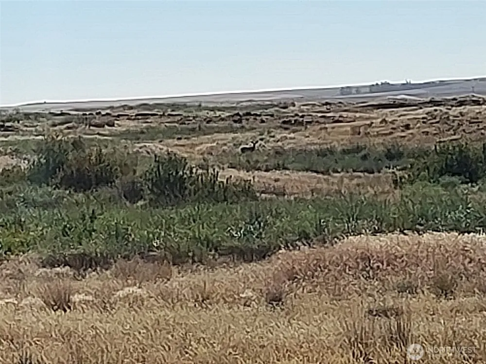 100 Seven Springs Dairy Road Davenport, WA 99122