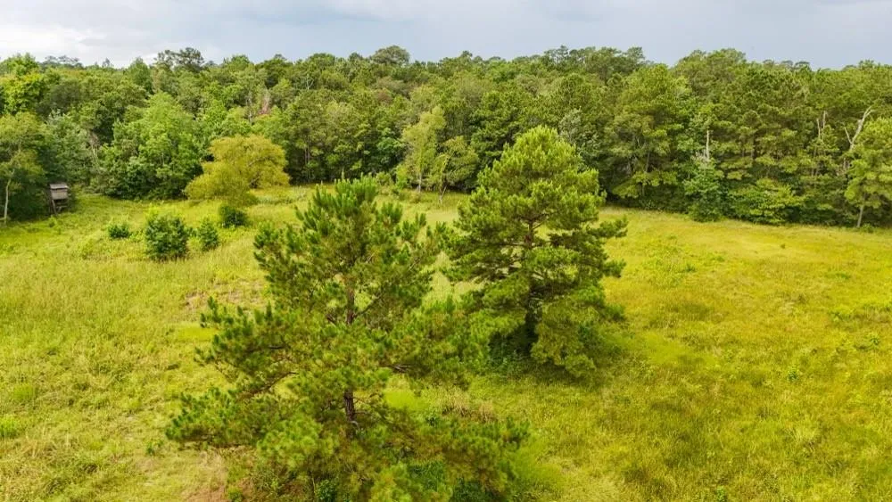 Hwy 90 Devers, TX 77538